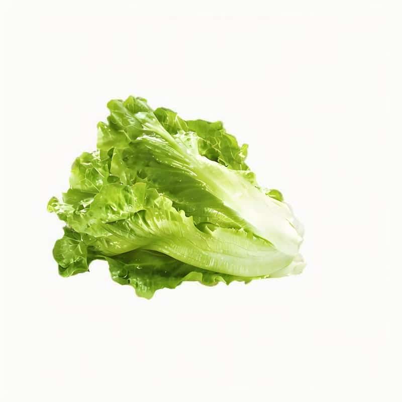 春季氣候多變 寶寶怎么呵護(hù)？早春