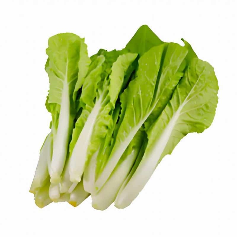 春季氣溫轉(zhuǎn)暖 山楂緩解食欲不振早春