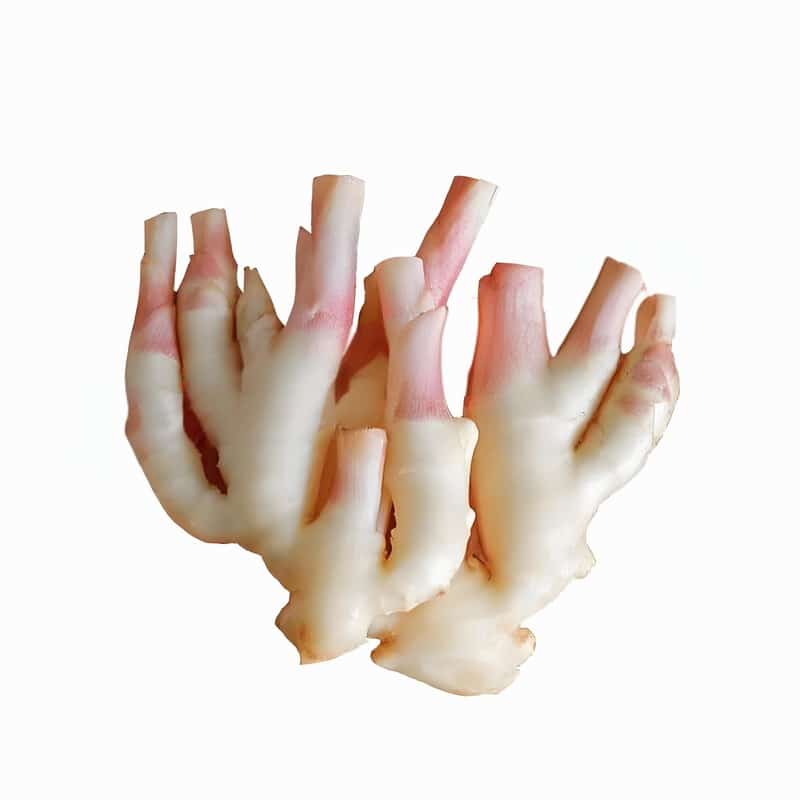 春季去火巧食西瓜早春