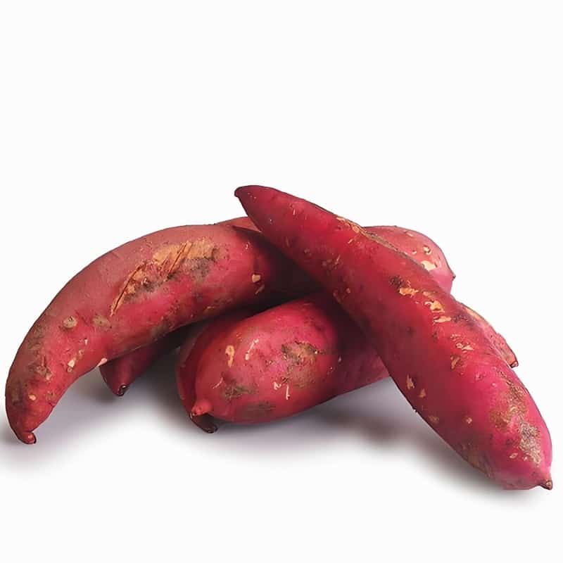 春季女人補脾又養(yǎng)血 新鮮大棗好處多早春