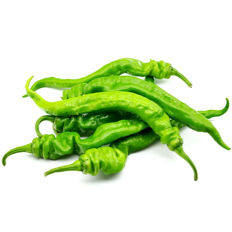 花卉養(yǎng)殖方法 學(xué)會花語懂得愛