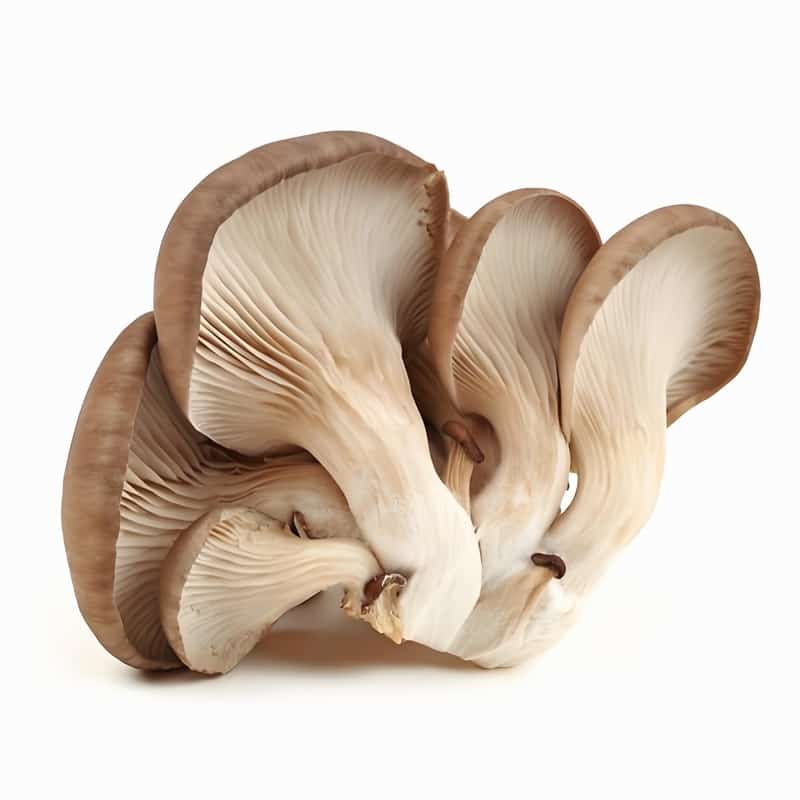 薦春季身體各部位補水最佳食物早春